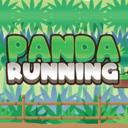 Panda Running