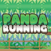 Panda Running